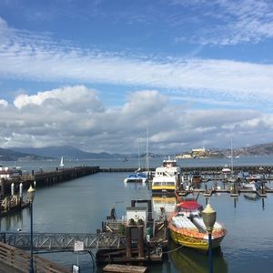 Meet your Posher, Dee